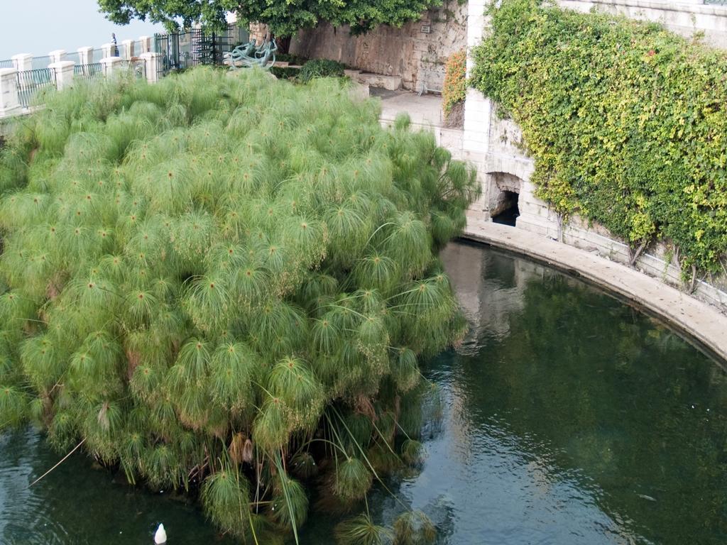 סירקוזה Corallia Apartment מראה חיצוני תמונה